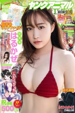 大漠枪神全集